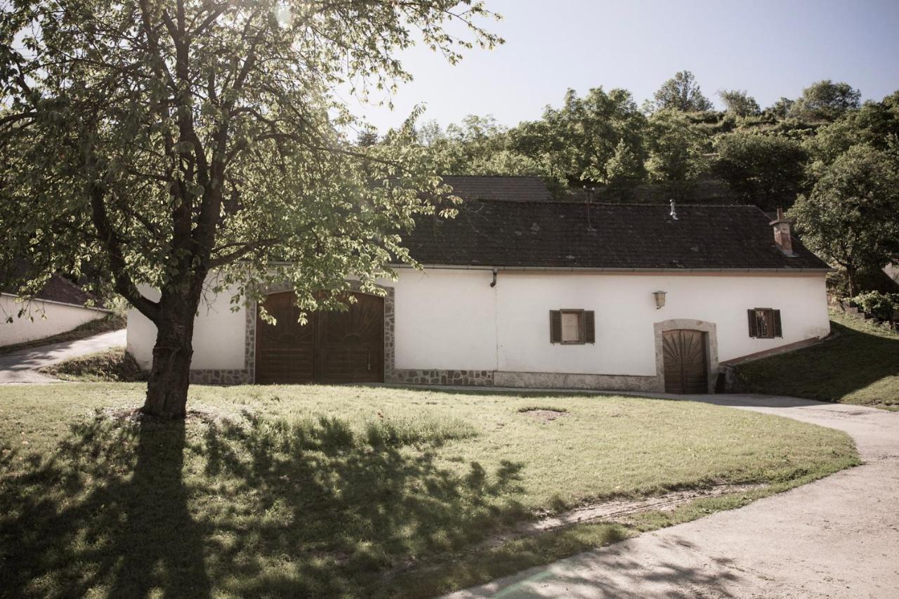 Ferienwohnung Am Weingut Eisenbock Strass  外观 照片