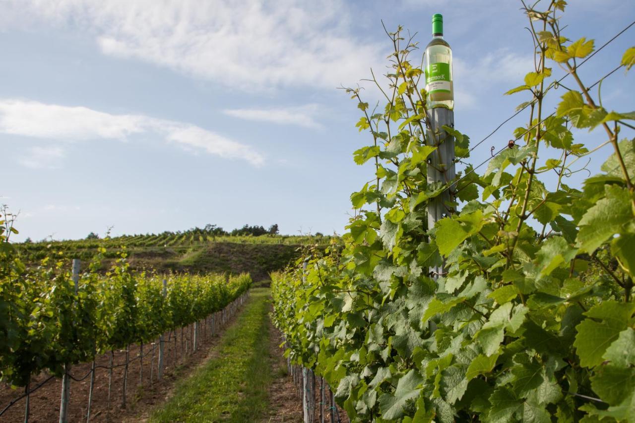 Ferienwohnung Am Weingut Eisenbock Strass  外观 照片