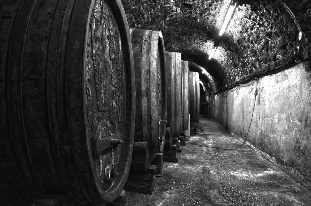 Ferienwohnung Am Weingut Eisenbock Strass  外观 照片