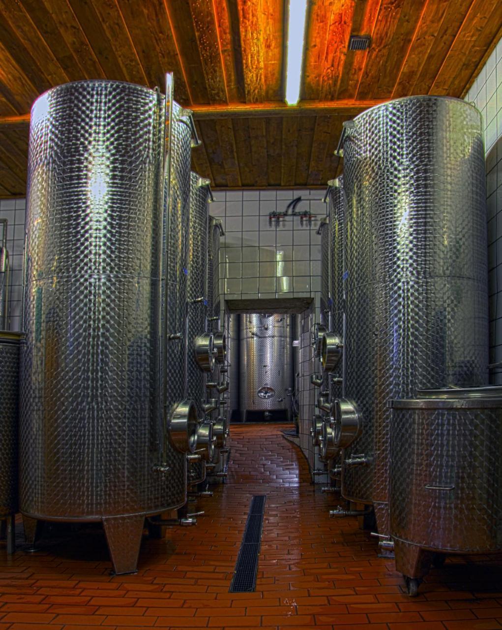 Ferienwohnung Am Weingut Eisenbock Strass  外观 照片